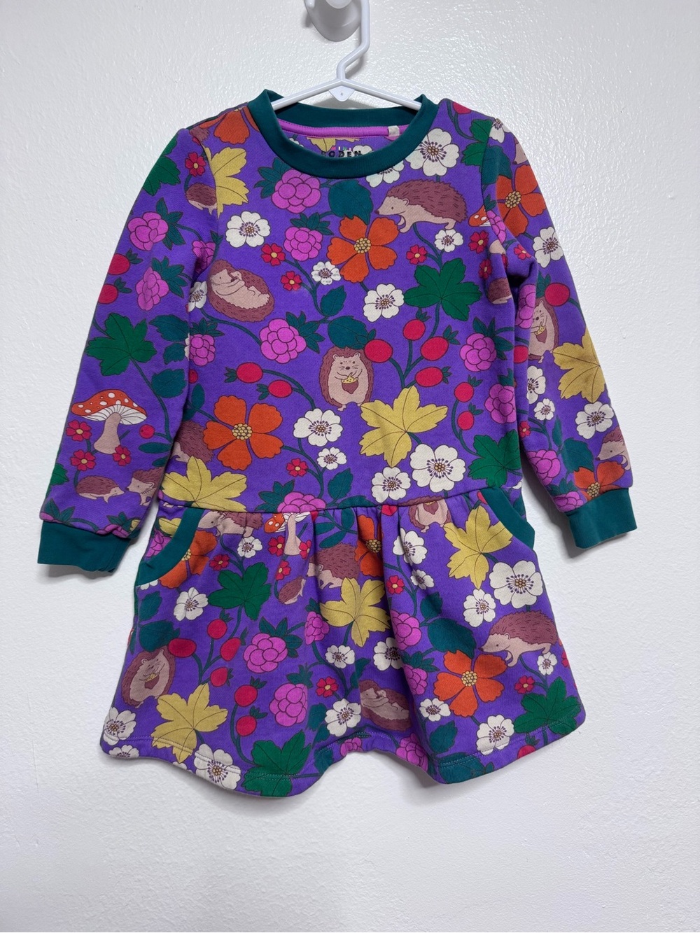 Mini Boden Purple Floral & Hedgehog Dress with Green Trim